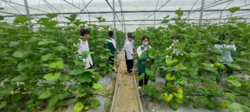 TRƯỜNG CAO ĐẲNG CƠ GIỚI NINH BÌNH TỔ CHỨC HOẠT ĐỘNG THĂM QUAN, TRẢI NGHIỆM CHO HỌC SINH NĂM HỌC 2022 – 2023